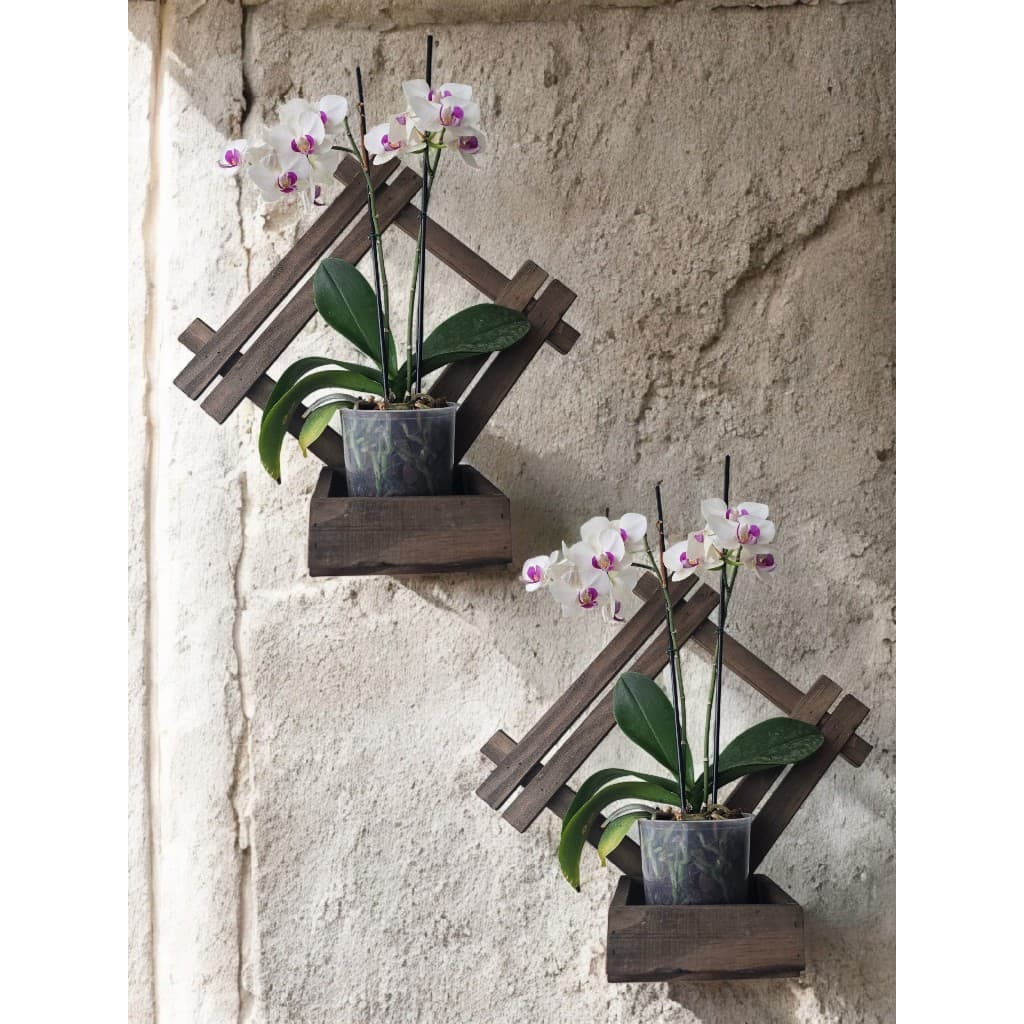 Kit 2 Floreiras de Jardim 44x44 Painel Madeira Com Cachepot Jardim Vertical Suspenso Orquidário