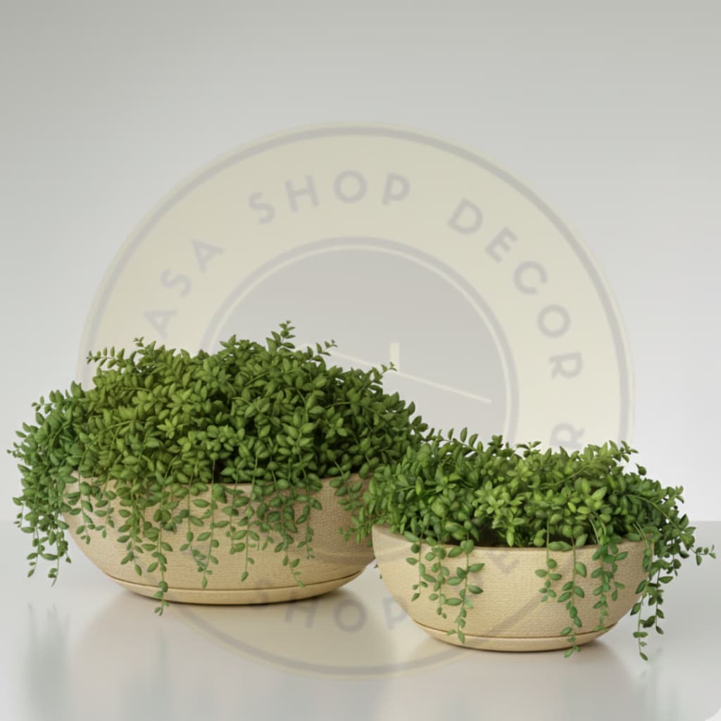 Kit 2 Vasos Bacia Escovada Premium - Decoração Moderna para Plantas, Suculentas e Jardim Interno