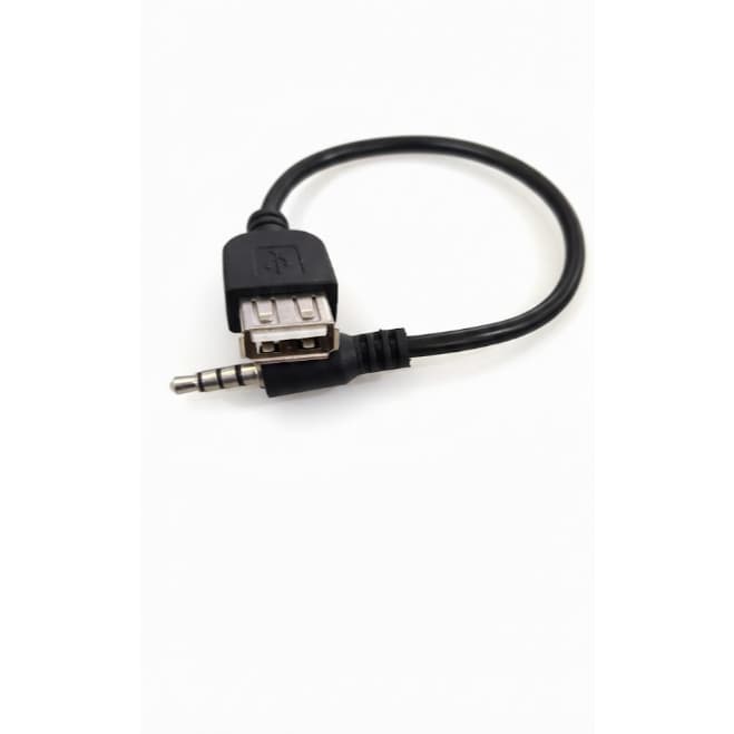 Cabo Adaptador P2 X Usb Femea Automotivo 3,5mm Mp3 Mp4 Auxiliar Pendrives e outros dispositivos USB