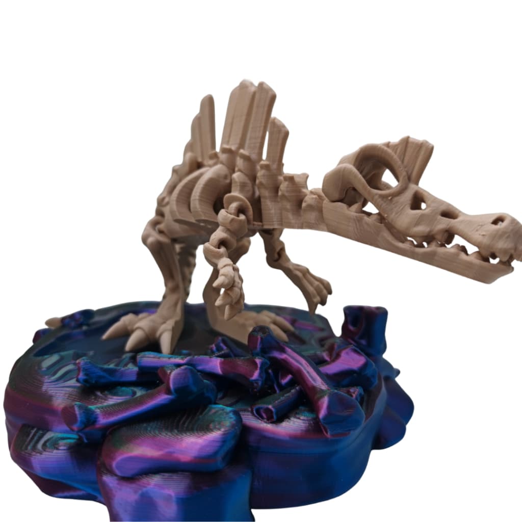 Espinossauro , Spinosaurus esqueleto de dinossauro articulado