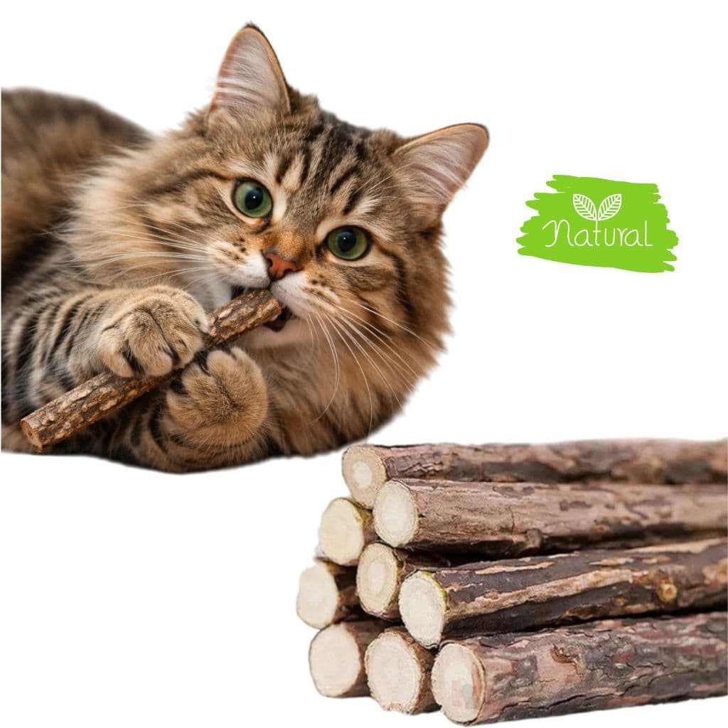 Vara Graveto Erva Do Gato Catnip Matatabi Limpa Deixa o Pet Feliz Brinquedo De Gato