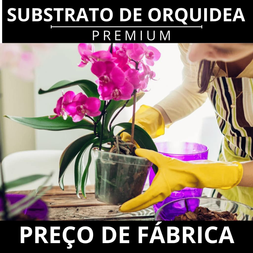 Substrato Premium Para Orquídeas Orquimix | Pronto Uso | Alta Drenagem | 3L 6L 9L