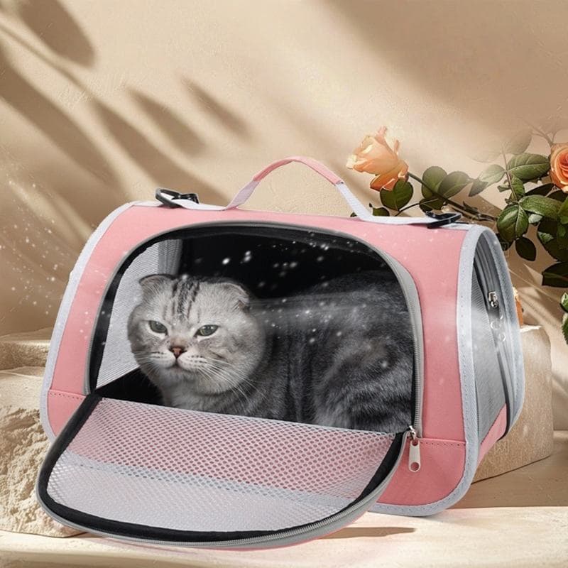 Portátil Dobrável Respirável Pet Travel Carrier Travel Cage Cães Pequenos Gatos Cão Animal