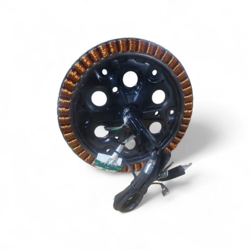 rotor do motor 350 wats bike elétrica Souza 20,8cm