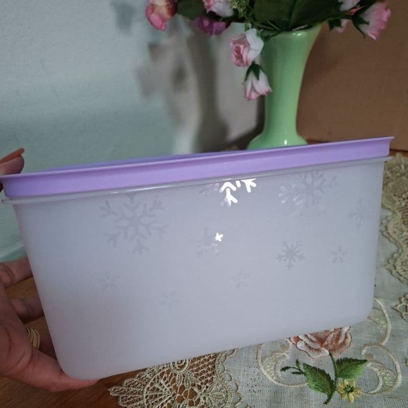 TUPPERWARE POTES PARA CONGELAR  PORÇÕES, CARNES, BATATA PALITO FREEZER LINE 2,5 litros