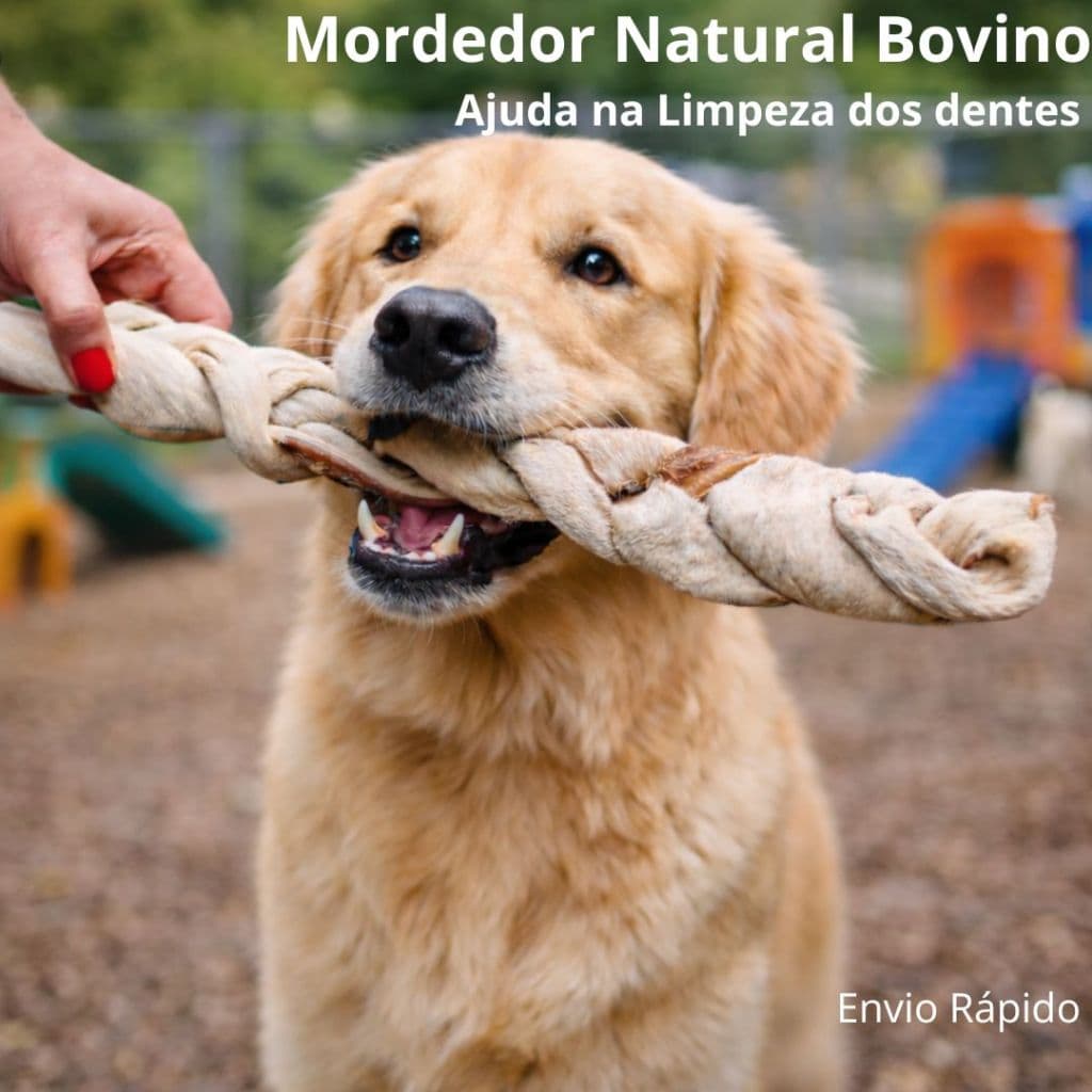 Trança de Couro Bovino para Cachorro Natuka | Mordedor Natural Pet | Petisco Natural P M G