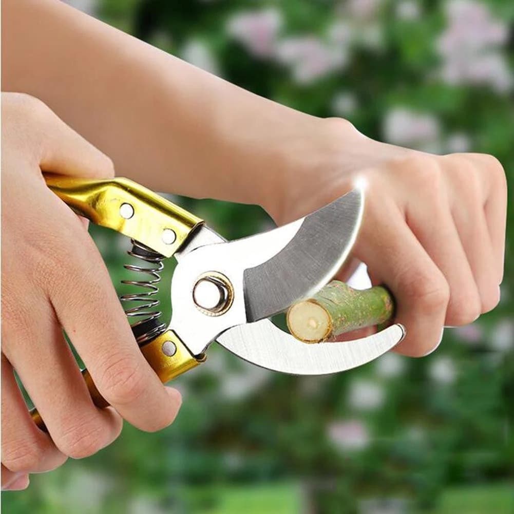 Tesoura de Poda Profissional para Jardinagem  JIANDAO