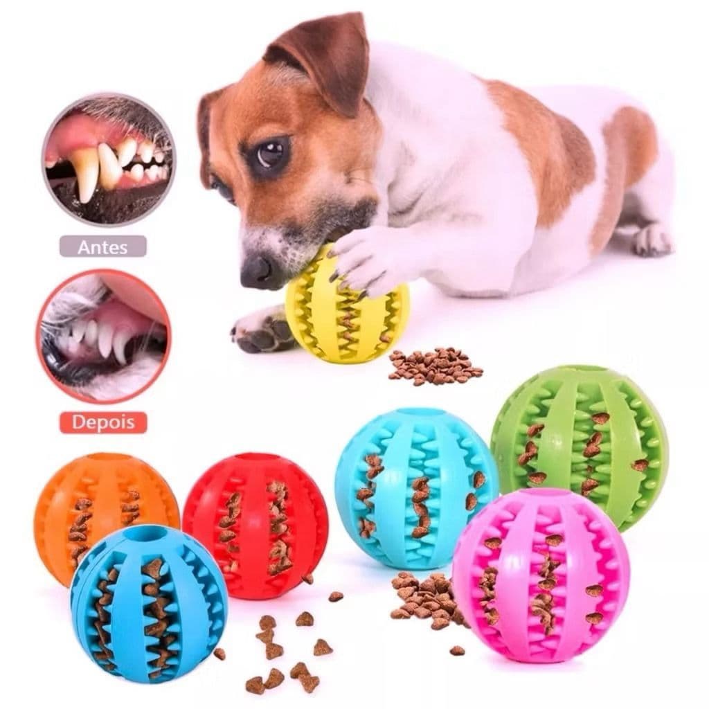 Pet Mordedor Bola Multifuncional Escova Porta Ração Petisco Pet Ball Boa Qualidade Colorida 6CM