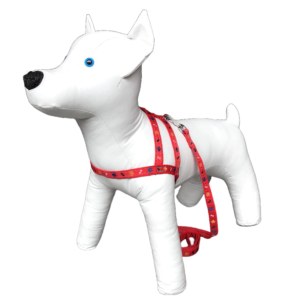 Conjunto Peitoral Com Guia De Nylon Pata Osso Para Cachorro Cão Porte Pequeno - Conforto Estilo Pet