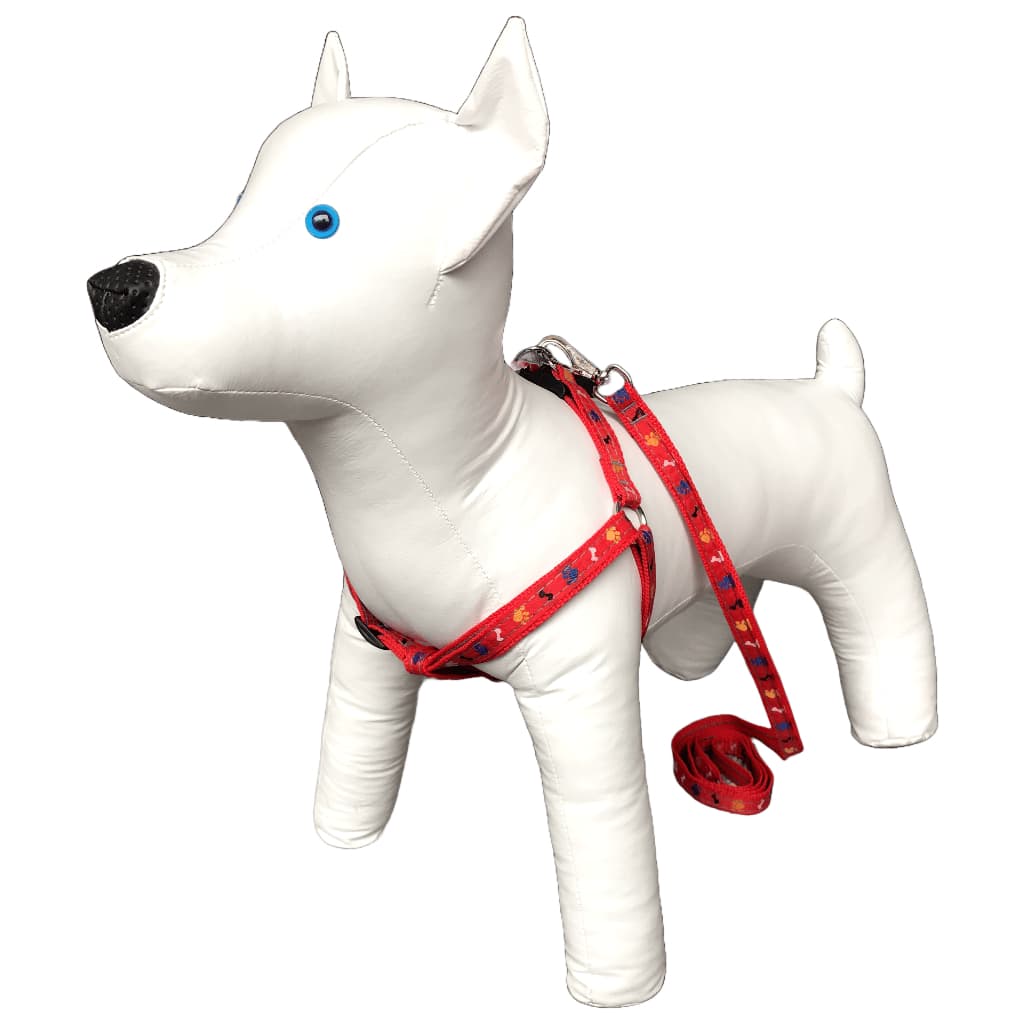 Conjunto Peitoral Com Guia De Nylon Pata Osso Americano Para Cachorro Cão Porte Pequeno Estilo Pet