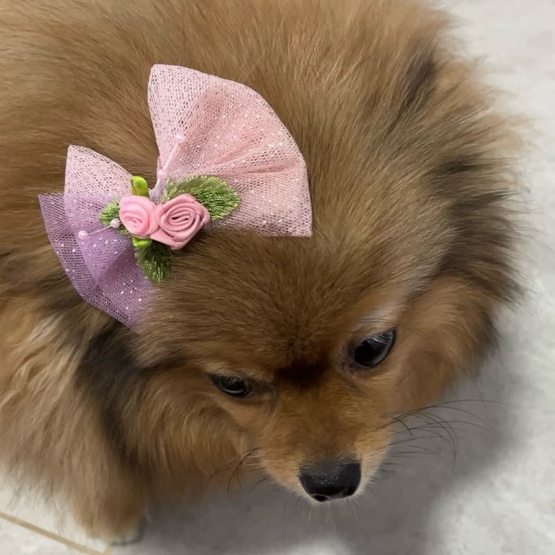 Laço de Tule Rosa com Rosinhas para Pets P