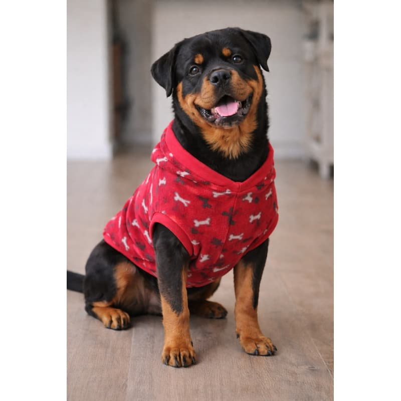 Roupa pet Soft, Bata, Sueter, roupa de frio estampada, roupinha gato cachorro, pijama inverno