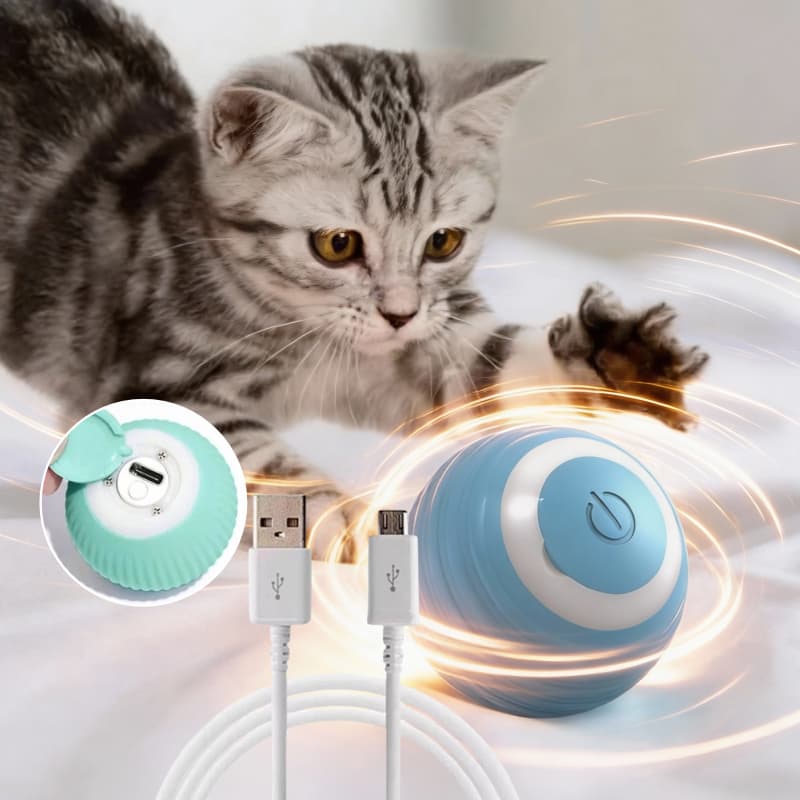 Bola Elétrica Automática para Gato cachorro Brinquedo Interativo USB Recarregável mágico para pets