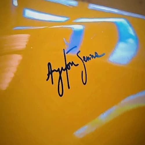 Ayrton Senna Assinatura - Adesivo - Várias Cores e Tamanhos