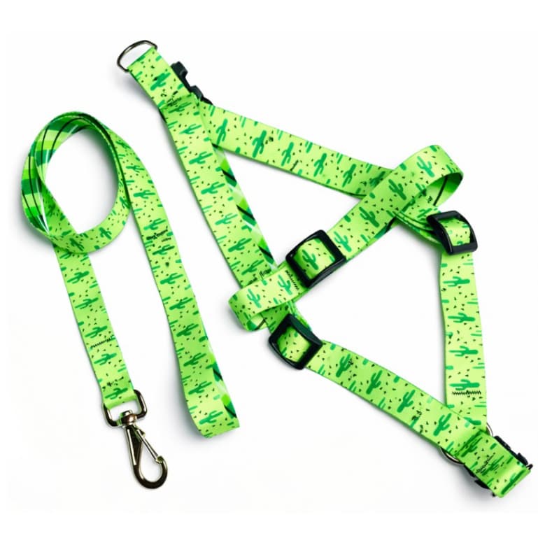 Kit Passeio com Peitoral + Guia Americano para Cães e Gatos