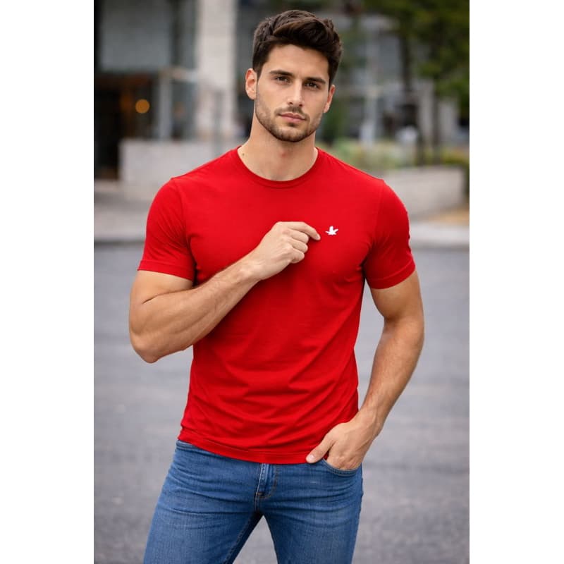 Camiseta brooks masculina algodão