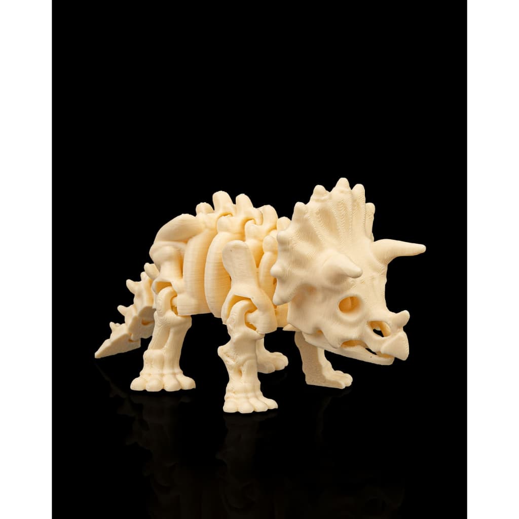 Triceratops Articulado - Dinossauro Fóssil