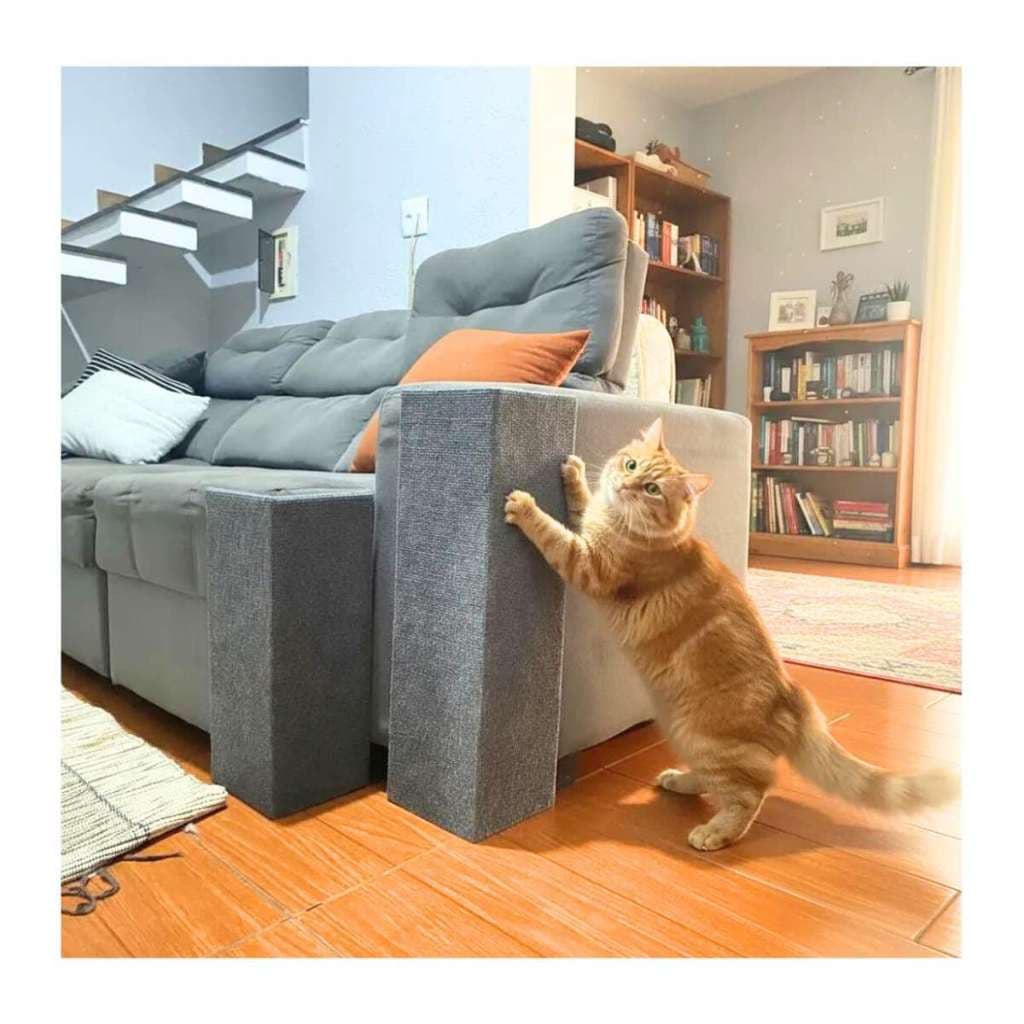 Brinquedo Para Gato Arranhador De Canto 2 Un