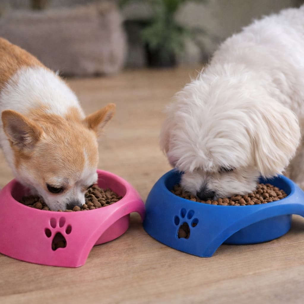 Comedouro Pet Para Cachorro e Gato Linha Premium Yan Pet