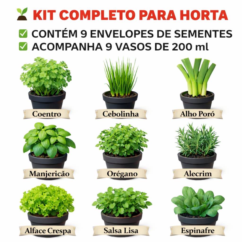 Sementes De horta flores temperos verduras em envelopes diferentes; Escolha seu kit conforme imagem