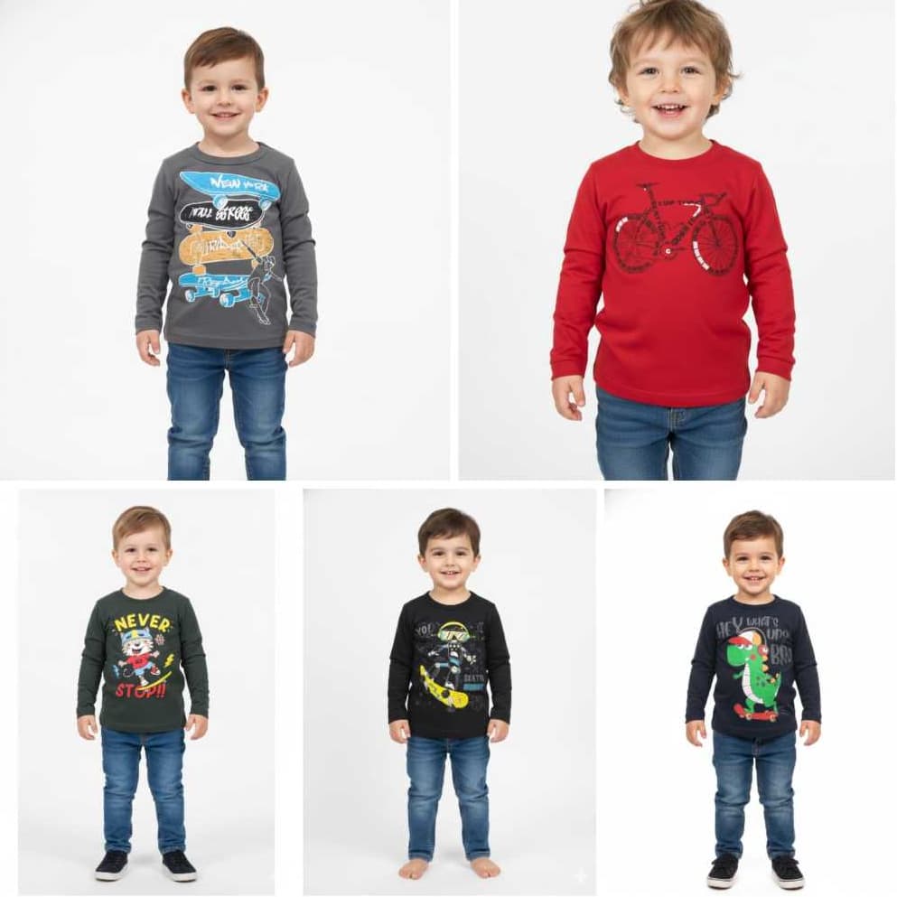 Kit 5 Camiseta Infantil Menino Manga Longa Estampa e Cores do 01 ao 03