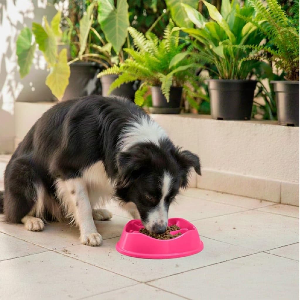 Comedouro Lento Interativo Stark Slow, Antiderrapante, 350 mL, para Cães de Médio Porte, com Labirinto Educativo