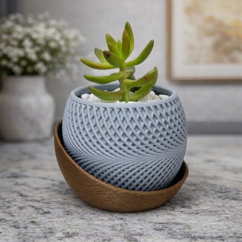 Vaso decorativo minimalista para suculenta , vasinho para plantas suculenta
