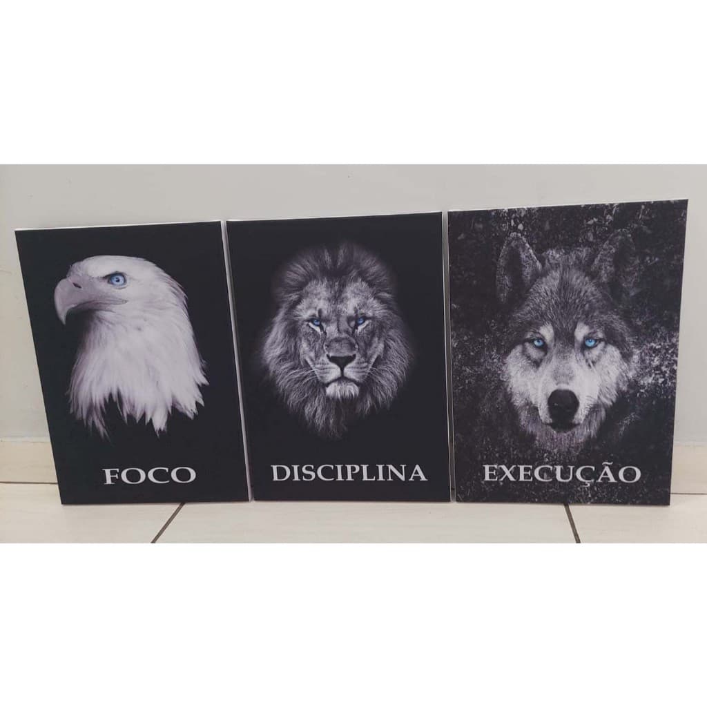 Trio de Quadros - Foco - Disciplina - Execução Impressão no tecido