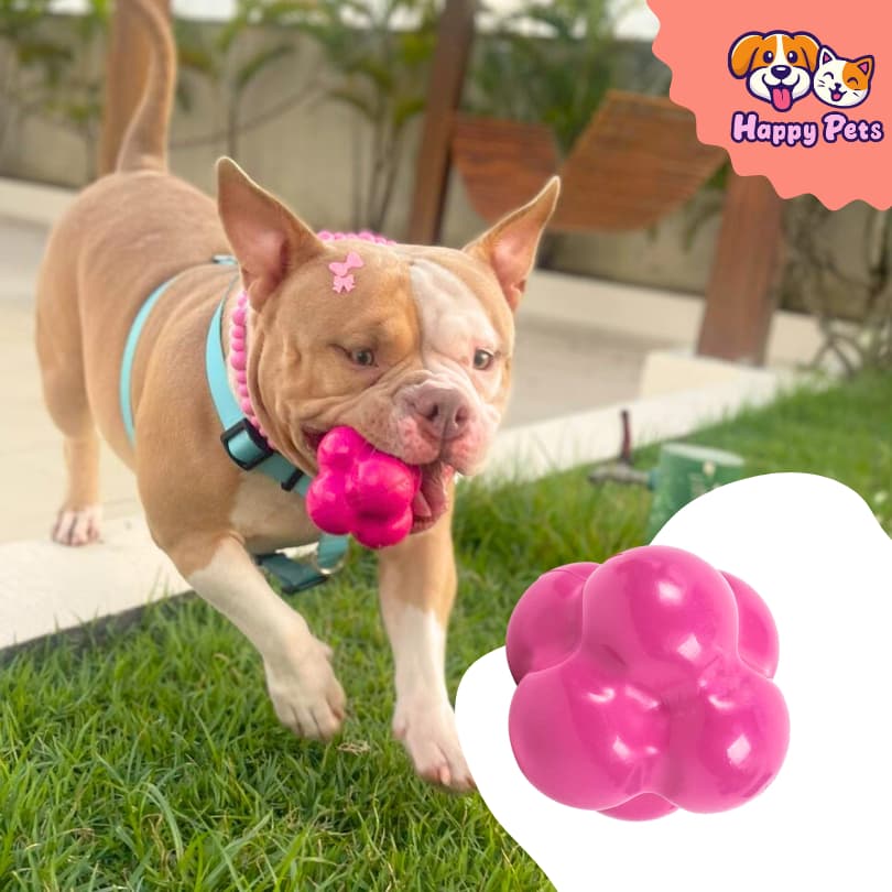 Bolinha Super Resistente Átomo Super Da Pet Games Brinquedo Mordedor Interativo Para Cão Cachorro