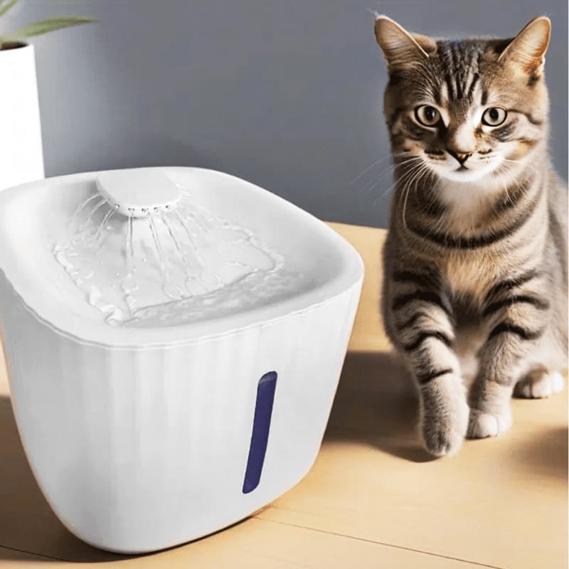 Bebedouro Fonte de Água Elevado Automático Com Filtro 3 Estágios Para Pet Cachorro Gato 3 Litros