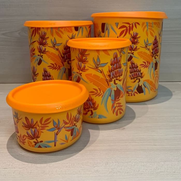 TUPPERWARE INSTANTANEA MÁGICA - VÁRIOS MODELOS