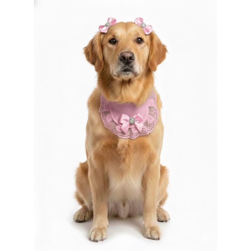 Bandana Pet Luxo Renda e Laço com Pedraria + Par de Laços de Orelha – Coleção Tons Pastéis para Cães e Gatos