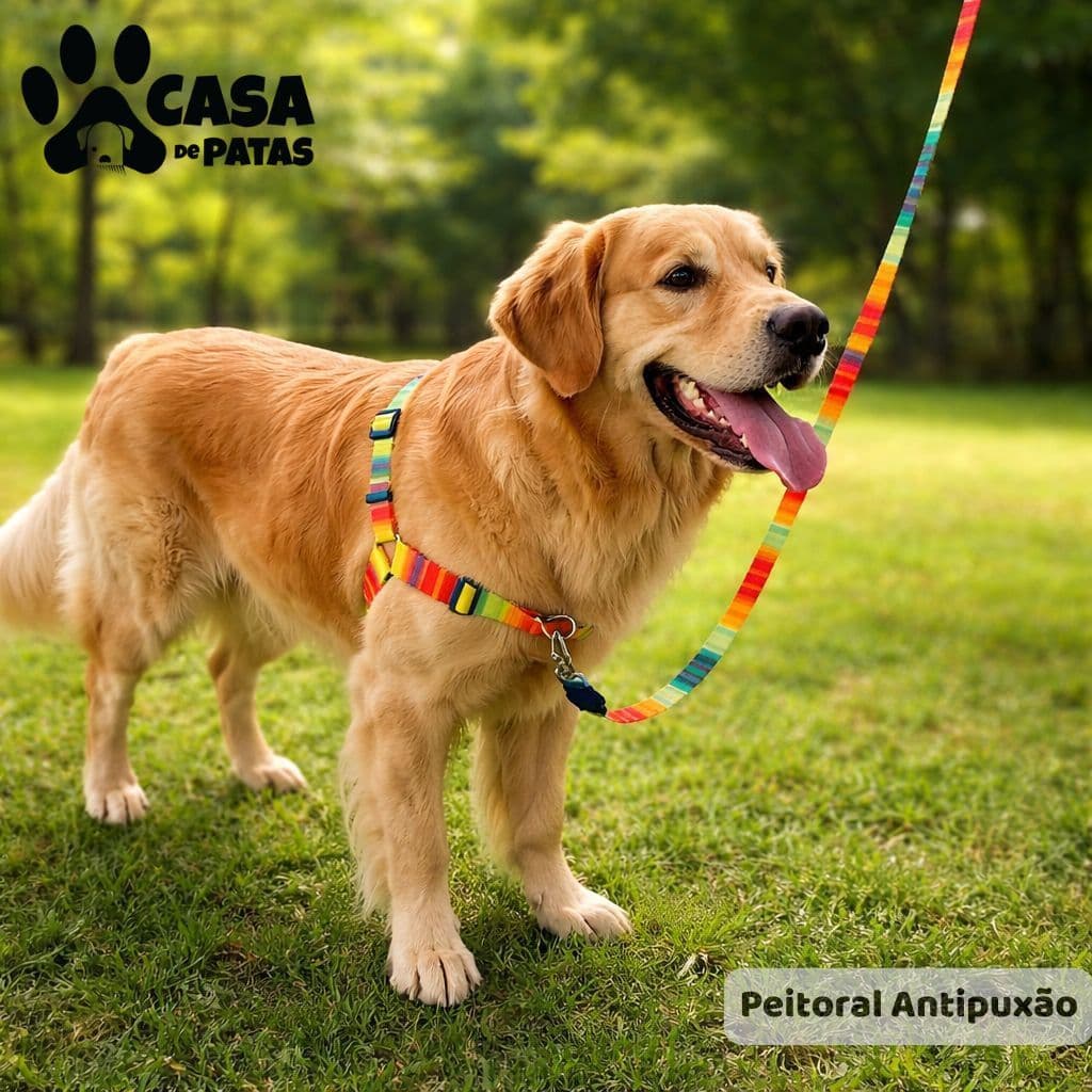 Peitoral Antipuxão para Cachorro com guia - Conforto e Controle no Passeio