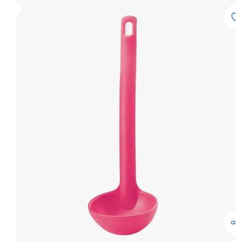 Concha Actualitè - Rosa.