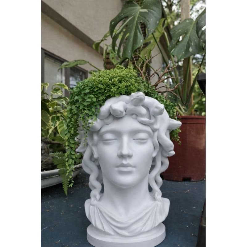Vaso decorativo Medusa
