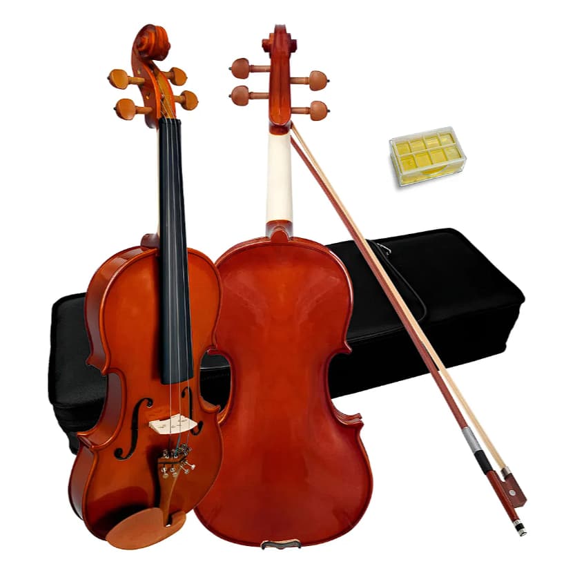 Violino Acústico Giannini GVS 4/4 Tampo Maciço Ébano Brilhante Natural com Case