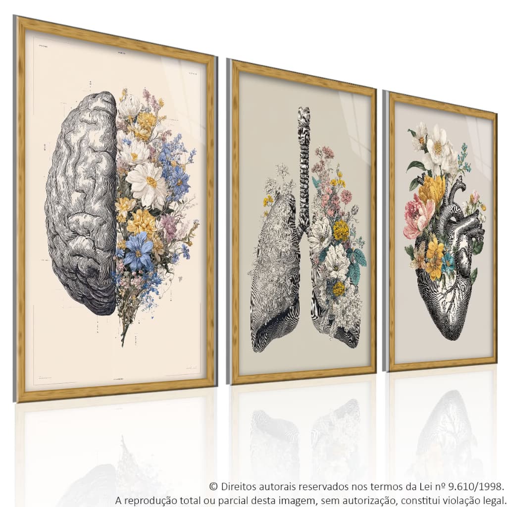 Kit 3 Quadros 120x60 Decorativo Anatomia Mente Florida Minimalista