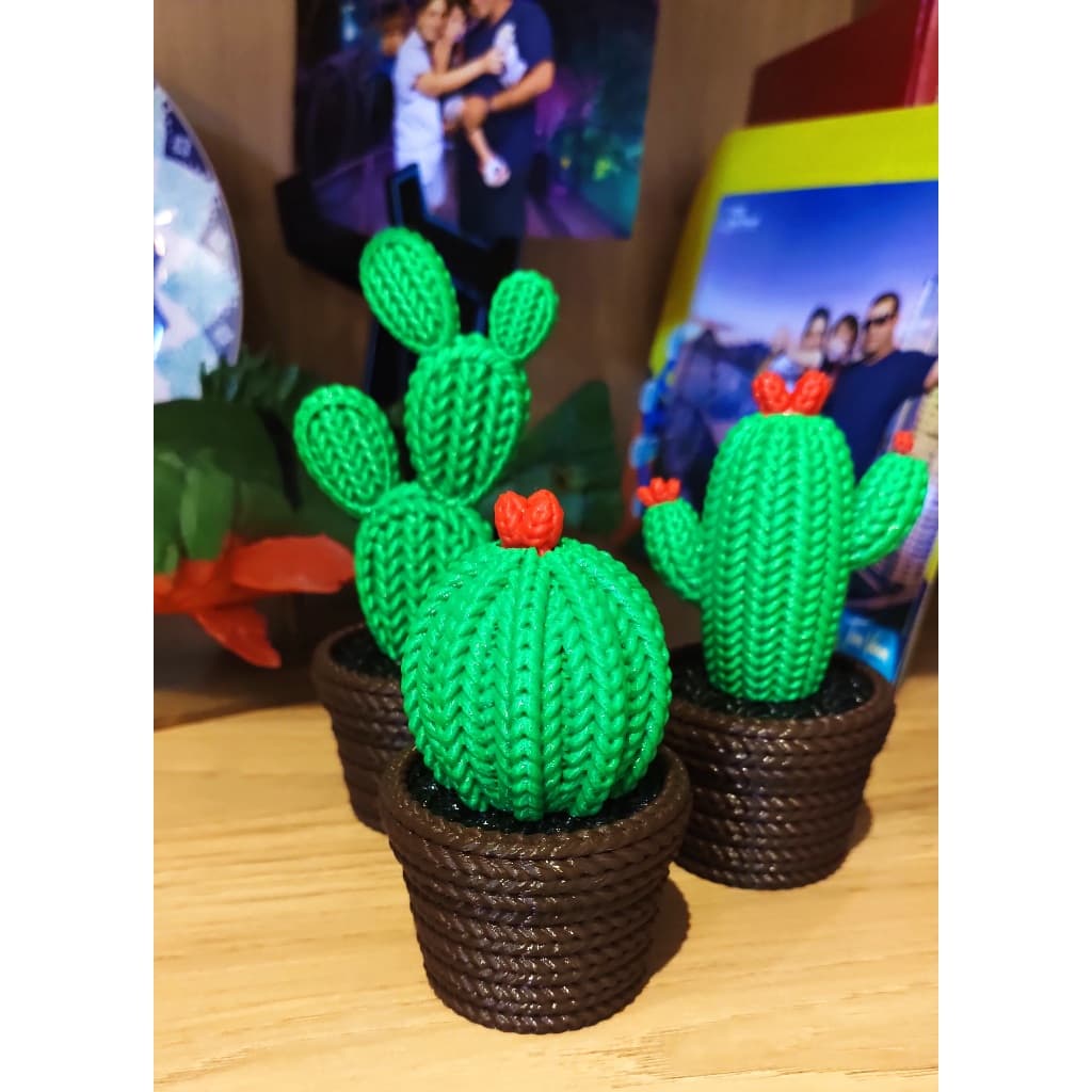 Trio Cactos Decorativos Boho - Enfeite de Prateleira e Mesa com Textura Tricô