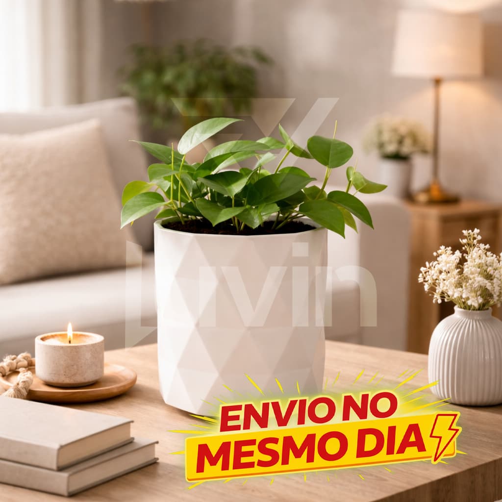 Vaso Íris Decorativo Geométrico Moderno