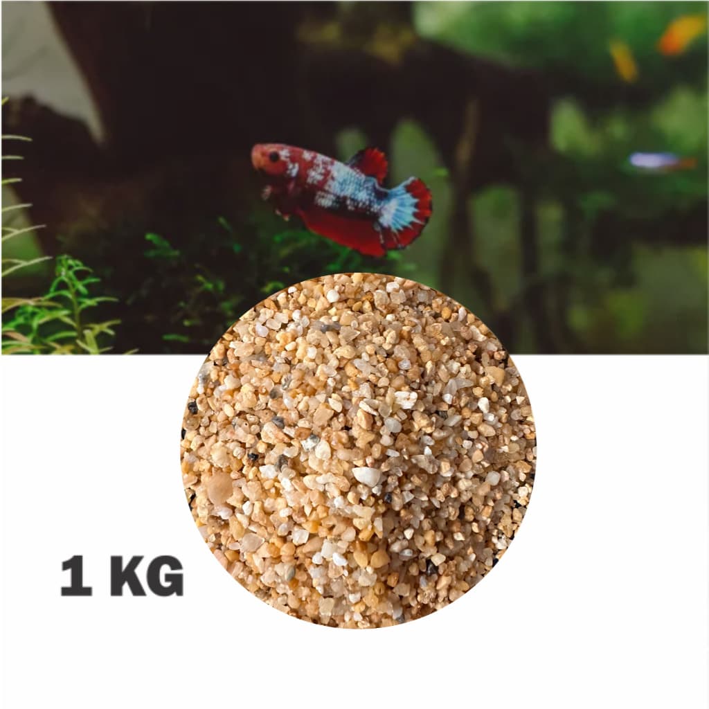 Mini Pedras / Cascalho Fino de Rio Natural – PH Neutro (2 a 5mm)