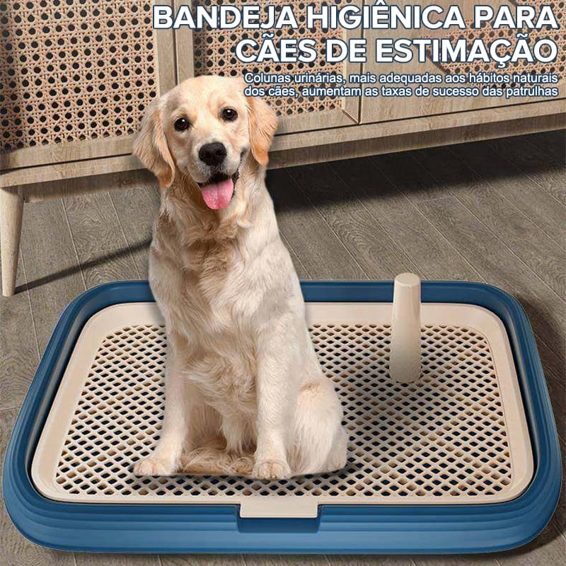 Tapete Higiênico para Cachorro Reutilizável com Grade, Banheiro Pet para Filhotes e Cães Pequenos e Médios