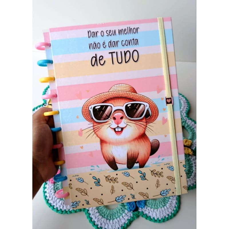 Caderno de disco universitário/capivara/10 discos/com divisórias