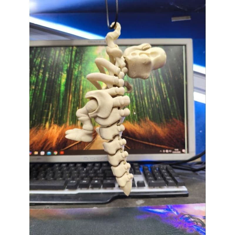 Dinossauro articulado esqueleto brinquedo criança adulto fidget sensorial hiperfoco 28cm agarra osso
