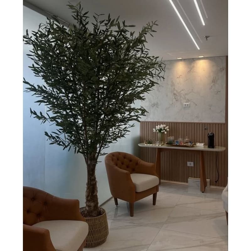 planta oliveira artificial 2.20mts caule natural desidratado com folhas artificiais toque real