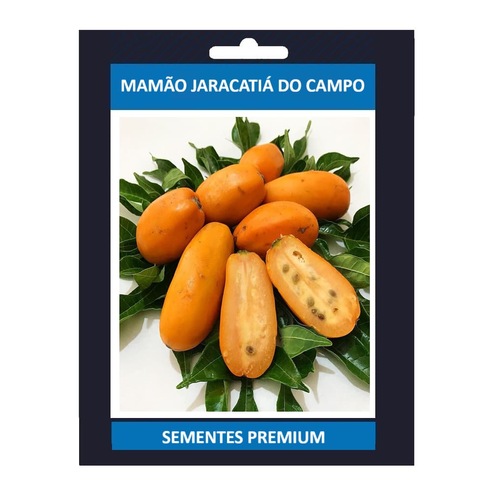 Sementes Premium 20 Sementes Rara De Mamão Jaracatiá Do Campo Envio Super Rápido Não Perca