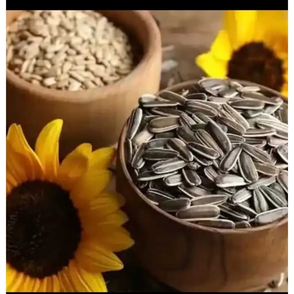 Semente Girassol para alimentos para passaros 1kg
