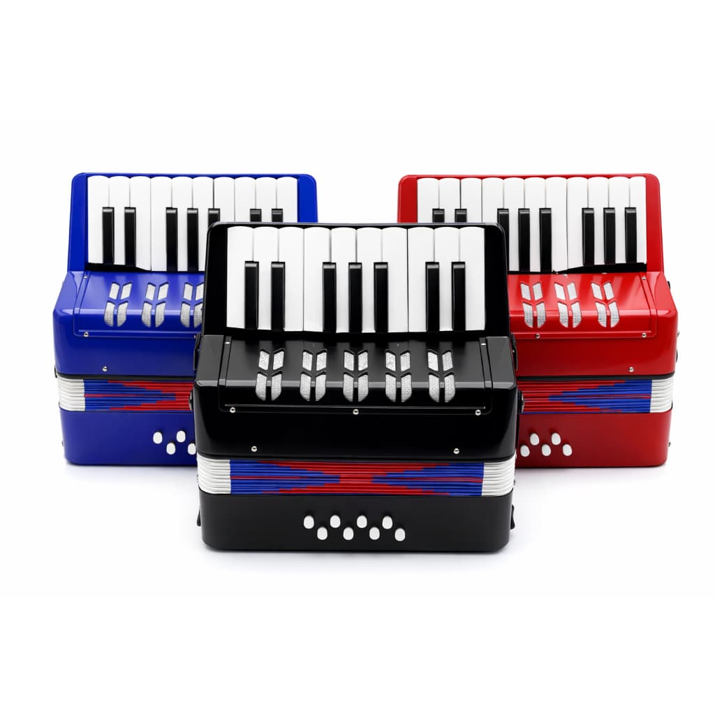 Sanfona Infantil 8 Baixos 17 Teclas Grande Instrumento Musical Criança Semipro Acordeon Gaita