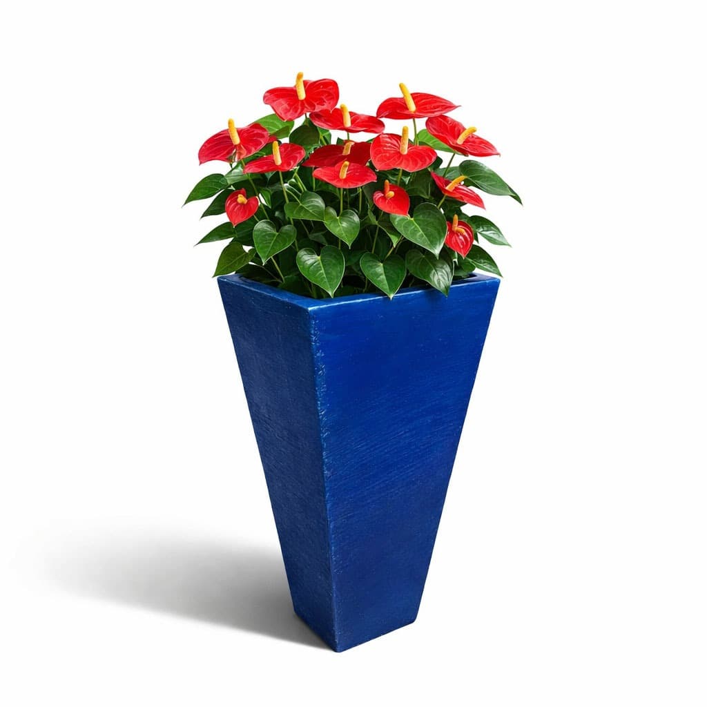 Vaso Plantar Antúrio Pinheiro 60x30 Porta Entrada Trapézio Parede Polietileno