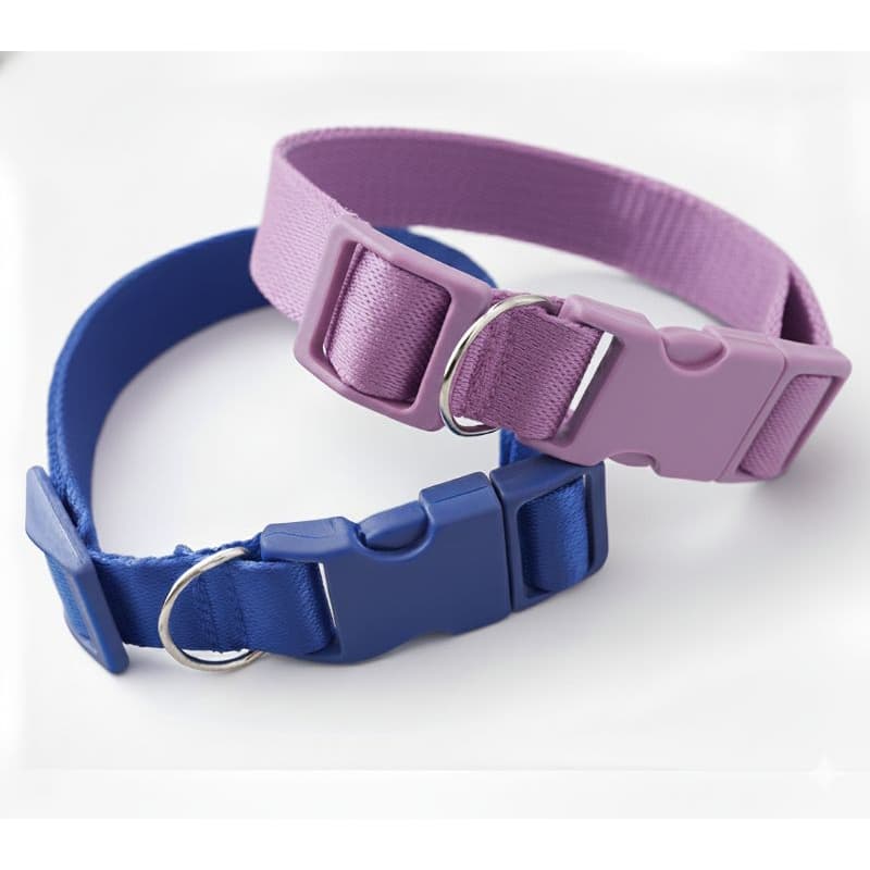 Coleira Para Cachorro Porte Pequeno Ajustável e Resistente(fita 15mm). Ótima Qualidade. Coleira Cachorro porte Pequeno.