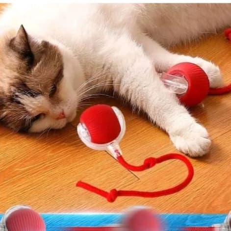 Bola Brinquedo Bolinha Para Gato Cachorro Bolinha Interativa Pet shop Usb Recarregável